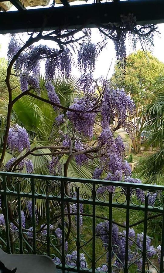 كاستيون-لا-باتاي La Maison Botanique المظهر الخارجي الصورة